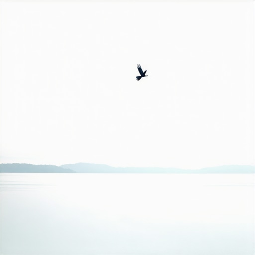 San o pticama: Simboli slobode, duhovnosti i unutrašnjeg mira